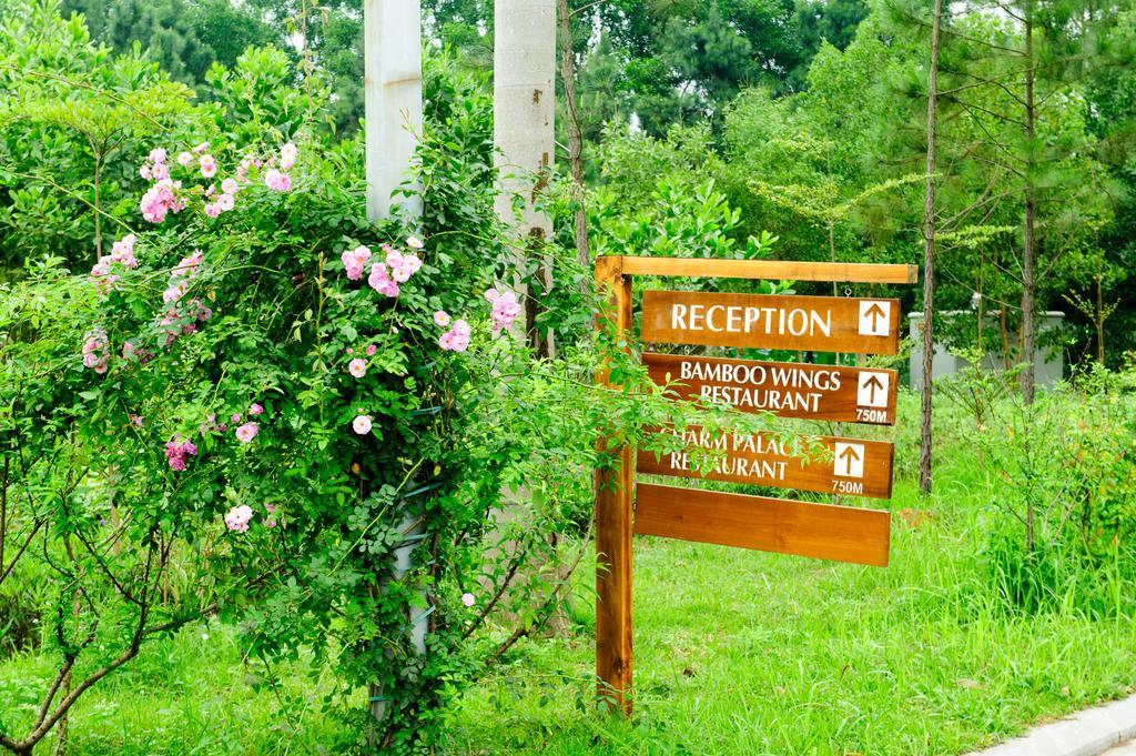 Flamingo Dai Lai Resort Ngoc Quang Kültér fotó